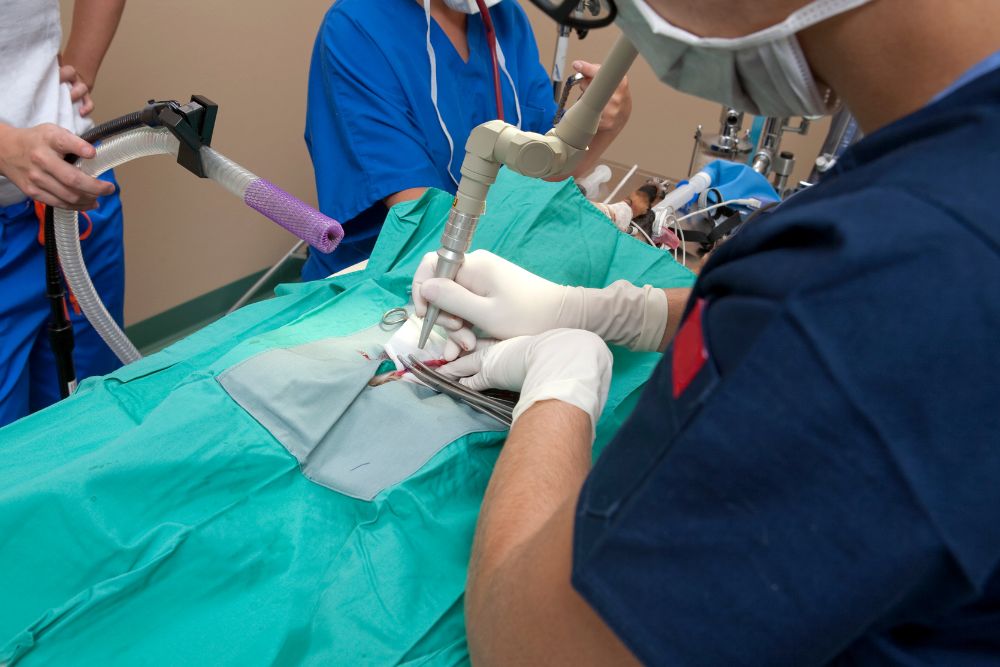 vet performing laser surgery